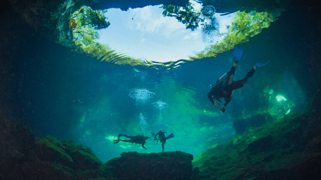 Scuba divers exploring the clear waters of a cenote