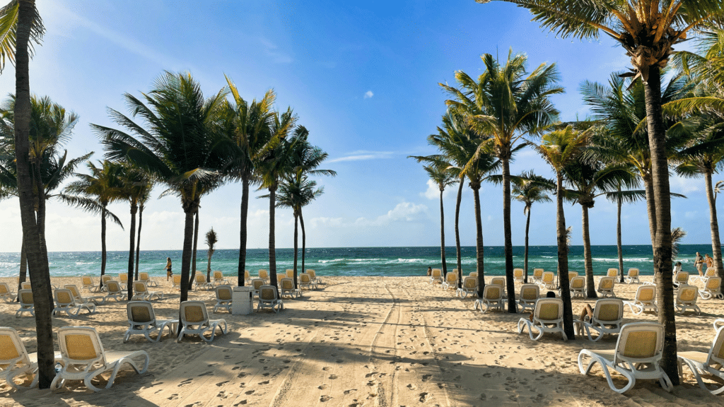 Palm-lined Caribbean beach with lounge chairs by the water