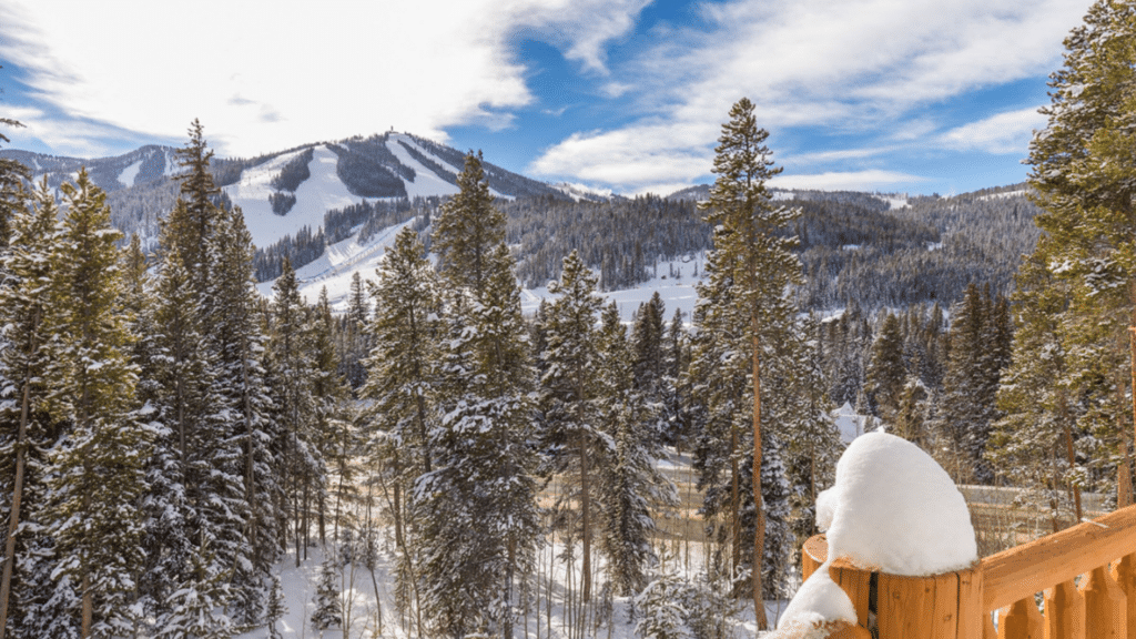 Wonderful Winter Park 10