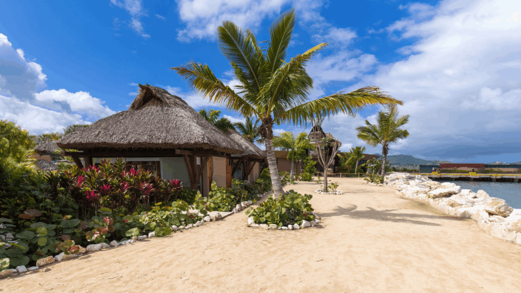 Palm-lined resort path beside tropical water